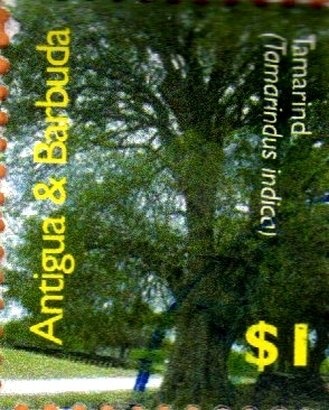 Spring Gardens Moravian Church