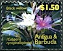 Official Presidential Portrait