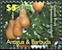 Elle Macpherson Holding Tree Branch