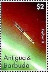 Buff-tailed Bumblebee (Bombus terrestris)