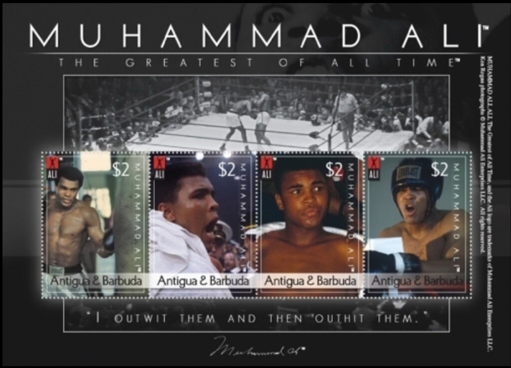 "General Confusion" (S. I. Witiewicz)