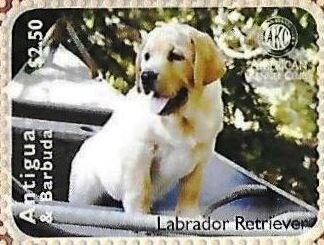 Display of AST Commemorative Plaque