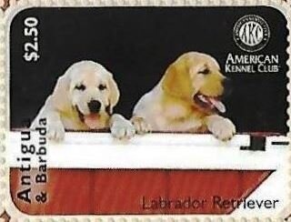 Fauna and Flora: Moths