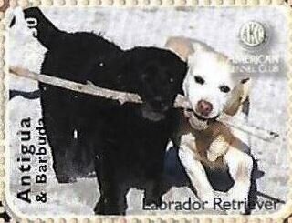 Chartres Cathedral (completed 1260)