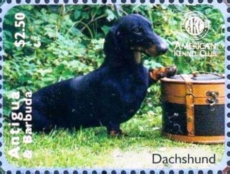 John F. Kennedy President of the United States