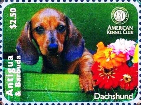 Yuri Gagarin with helmet