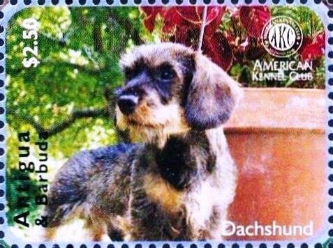 King Duncan I of Scotland, 1034-1040