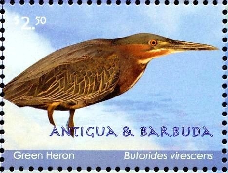 The Engagement of Prince William to Catherine Middleton