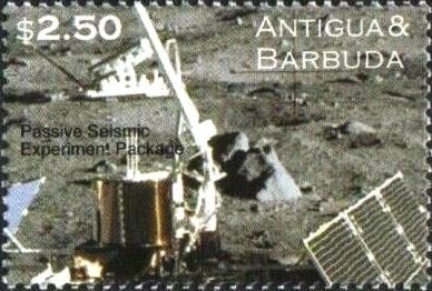 Buff-Tailed Bumblebee (Bombus terrestris)