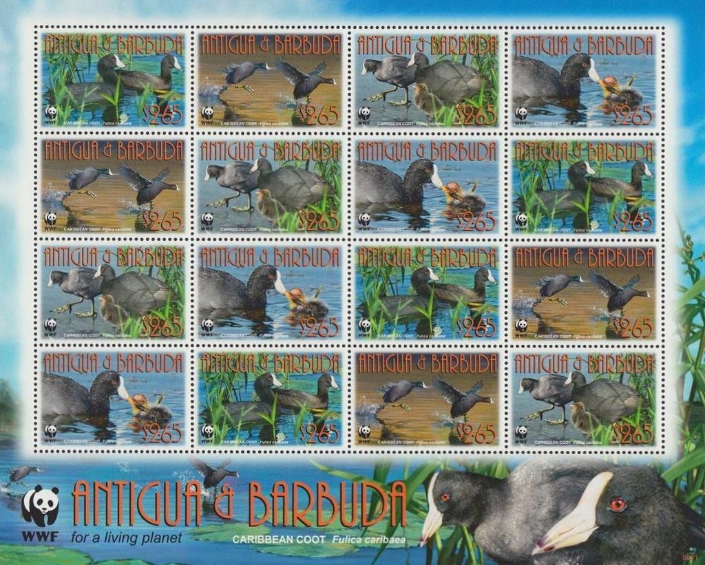 Lunar Module on Moon