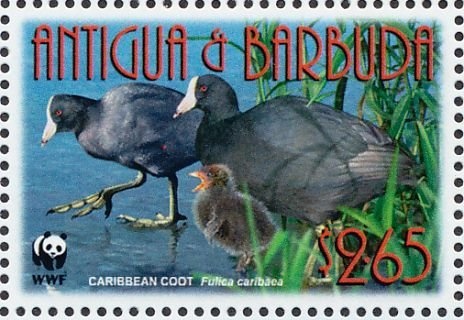 William Henry Harrison, 1773-1841