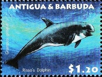 Mahatma Gandhi (in profile looking down) and Crowd