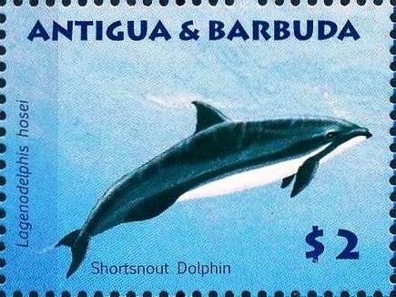 United Nations Headquarter