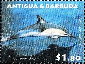 Royal Air Force 80th Anniversary (2)