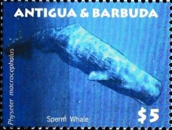 Interior of 1966 365P Speciale