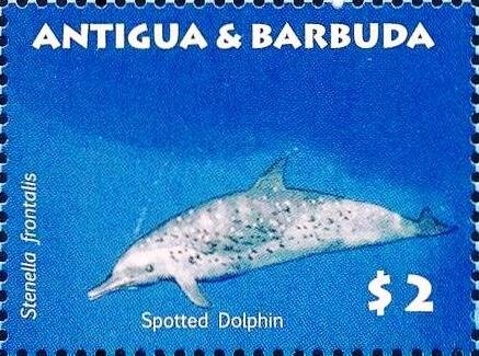 Pink Sand Beaches, Barbuda