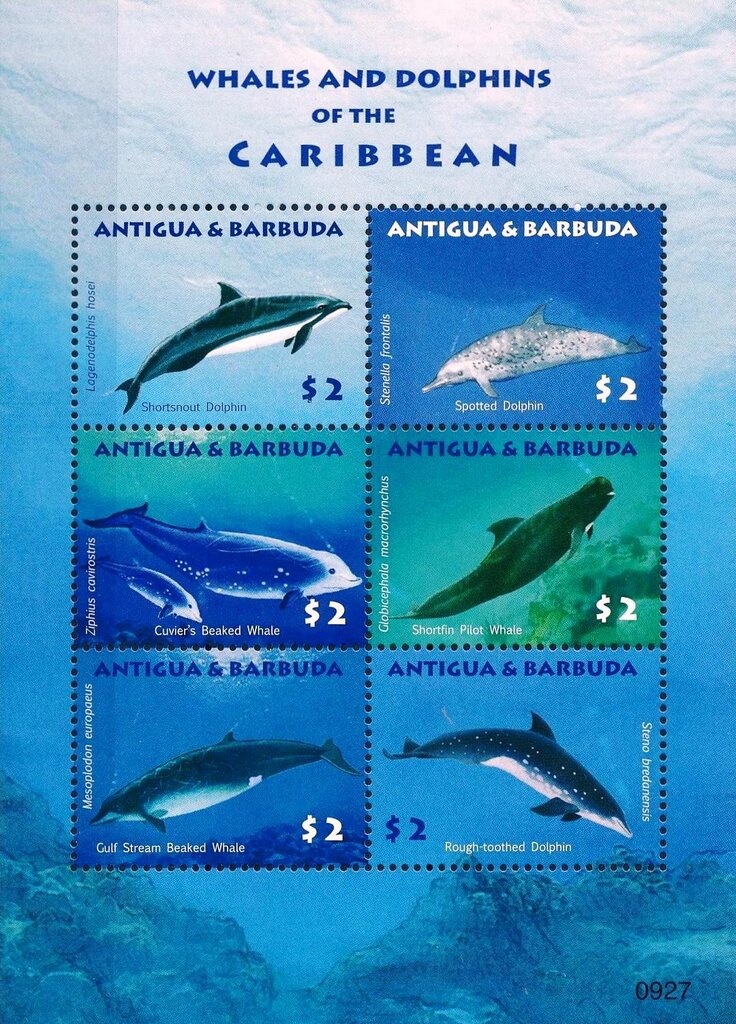 Marilyn Monroe Wearing Mauve Sweater