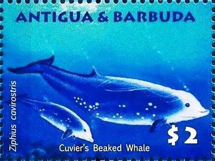 Portrait of Columbus in Oval Frame