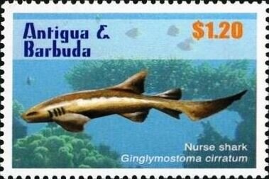 Andrew Jackson, 1767-1845