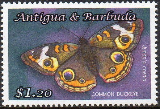 "G.I. Blues" (film poster)