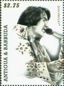 Eggplant (Solanum melongena)