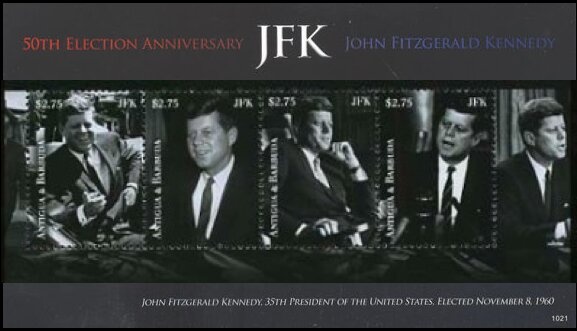 Hibiscus (Hibiscus rosa-sinensis)