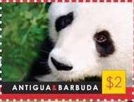 Kitten with Red String