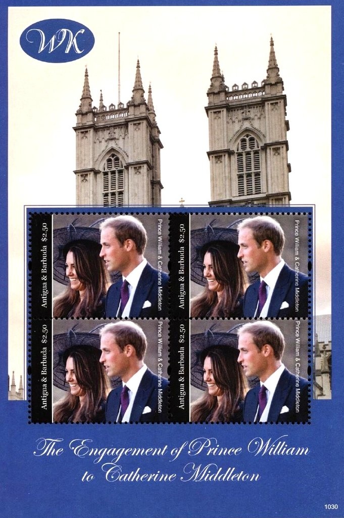 Seahorse (Hippocampus sp.)