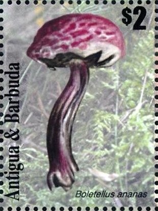 Evacuating Hospital Patients