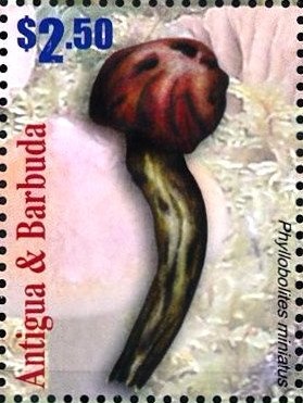 President Barack Obama (in profile)