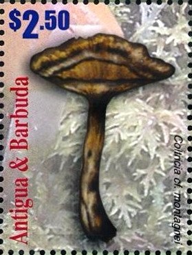 Disney Babies Bringing Christmas Gifts to Town