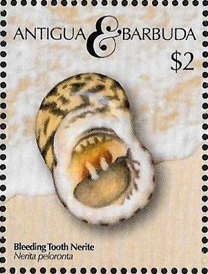 "Bird in Maple Tree"