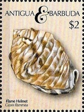 Fauna Flora of the Caribbean