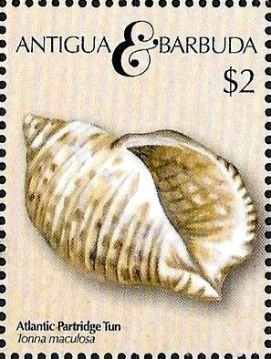 Nanday Conure (Aratinga nenday)