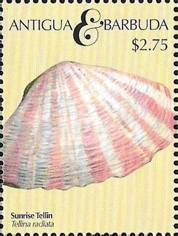 Elvis's Iconic Sunglasses