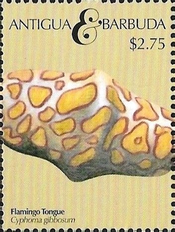 Petrea Sp. (Petrea volubilis)