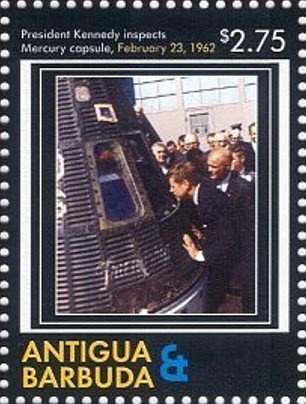 Tamandua (Tamandua sp.)