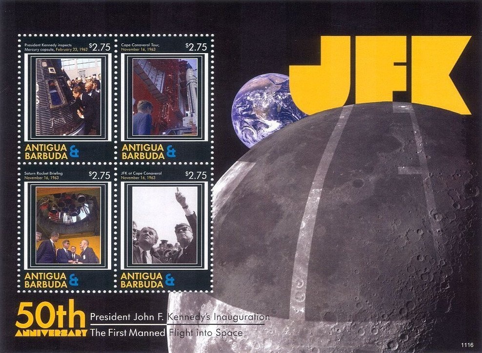 Fallow Deer (Dama dama)