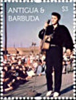 Hibiscus (Hibiscus rosa-sinensis)