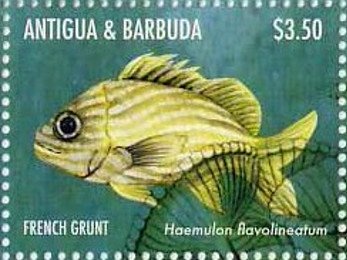 "Looking out there makes me realize...."