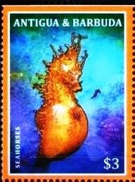 "Freedom to Worship"