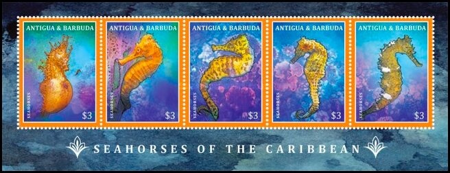 Lt. Kennedy Served in the US Navy