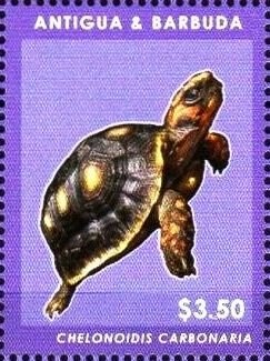 "Misterio en la Isla de los Monstruous", 1961