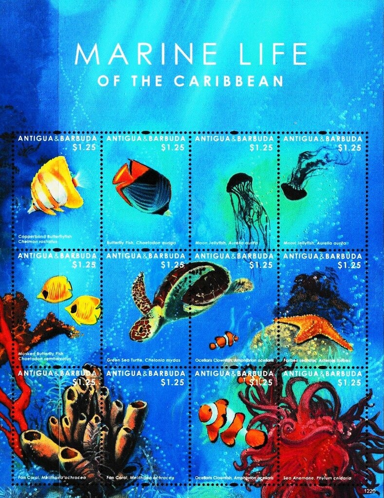 Queen Elizabeth II and Prince Philip waving to Crowd