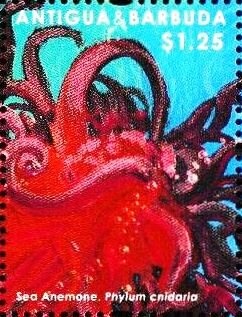 Desert Rose (Adenium obesum)