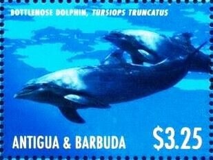 Beaches of Antigua & Barbuda