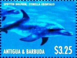 Queen Victoria with Jeweled Hair Ornament