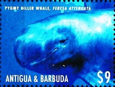 Ray Allen, Seattle Supersonics