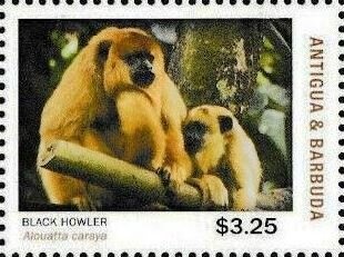 50th Anniversary of the First Person in Space (2)