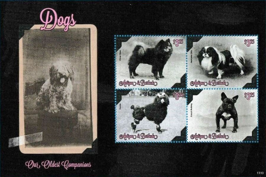 50th Anniversary of UNESCO